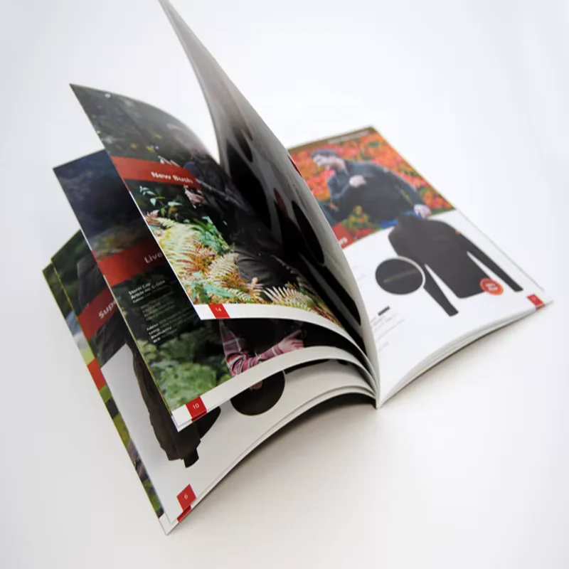 Katalog Laminasi